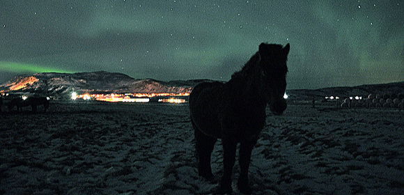 Riding Holiday Northern Lights